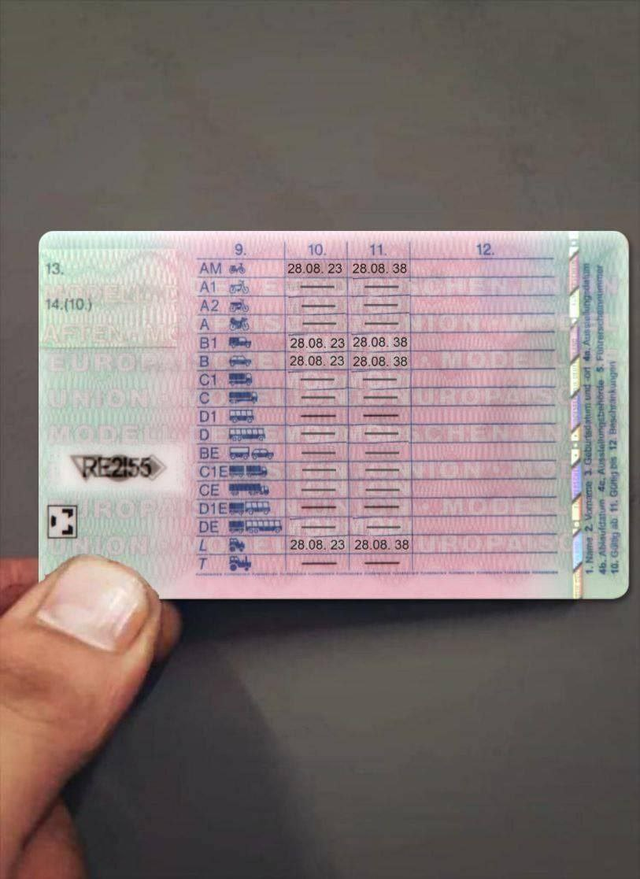 Rückseite einer Führerscheinkarte mit Tabelle der Fahrerlaubnisklassen