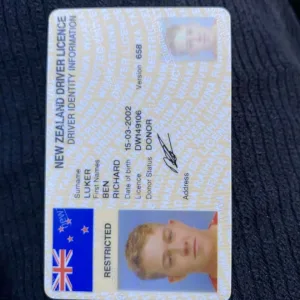 großbritannien führerschein