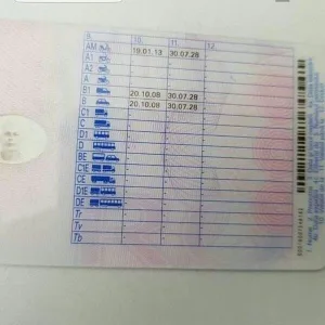 führerschein im ausland machen mit wohnsitz in deutschland